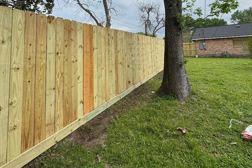 fences